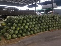 -双福水果批发市场