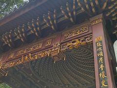 -汇龙潭
