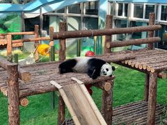 -大连森林动物园