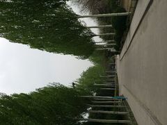 android_upload_pic-太原动物园