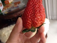 -青浦采草莓天天草莓园