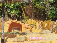 -珠海长隆海洋王国