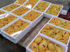-沈阳市八家子水果批发市场