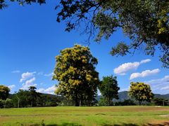 -北京西山国家森林公园