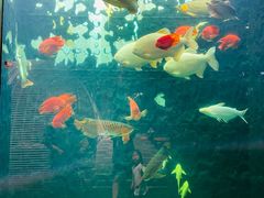 -弘安丽水温泉酒店