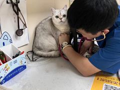 -芭比堂动物医院·24小时·眼科中心(深圳中心)