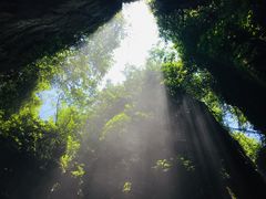 -梦幻奥陶纪景区