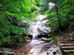 -王顺山国家森林公园