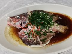 -众味海鲜大排档·活海鲜·潮汕味(南澳店)