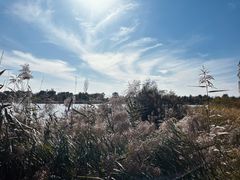 -野鸭湖国家湿地公园
