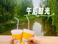 -赵州桥景区