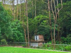 -火炉山森林公园