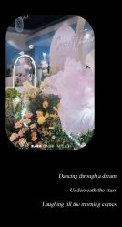 -WOW Wedding婚礼定制