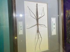 -上海昆虫博物馆