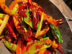 -毛辣果·酸(OHA复兴西路店)