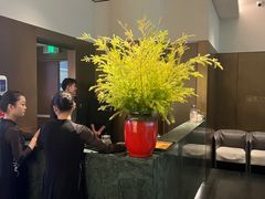 -柿合缘新京菜(国金中心商场店)