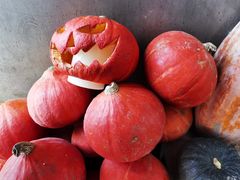 -三忘湖 SWANSEEN(柳荫公园店)