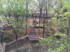 -石家庄市动物园