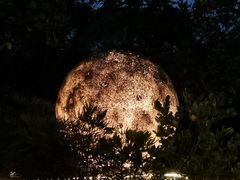 -恬阿姨庭院餐厅·生日宴