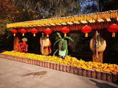 -黑龙江省森林植物园
