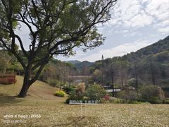 -云溪植物园