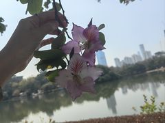 -荔枝公园(福田区)