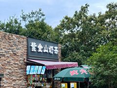 -紫金山山顶公园