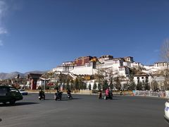-尼泊尔雪莲餐厅(北京东路店)