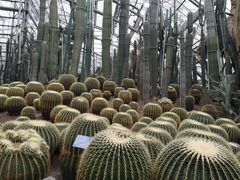 -南山植物园