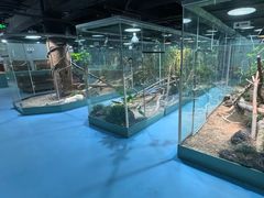 -上海大自然野生昆虫馆(东方明珠·爬宠昆虫探索中心)