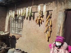 -清风小镇闯关东影视基地