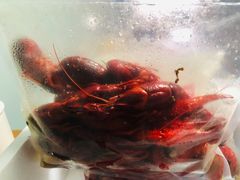 -御苑宾馆-中餐厅