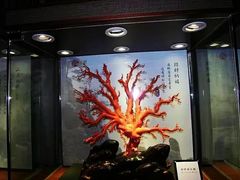 -绮丽珊瑚(台北101旗舰门市店)