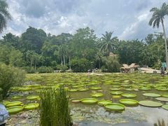-中国科学院西双版纳热带植物园