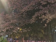 -玛格萝妮比萨屋(四平店)