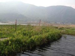 -腾冲北海湿地