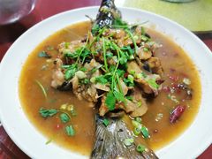 -煲来饱去冷水鱼