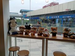 -南京Hallo宠物乐园·哈罗犬舍·柴犬繁育基地