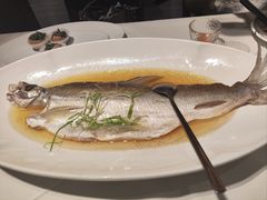 太雕蒸白水鱼-席家花园(巨鹿花园店)