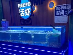 -0048鲜活香辣虾·火锅(铜陵路店)