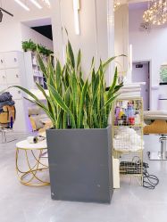 -FUTURE HN男士发型风格设计