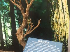 -延庆地质公园博物馆