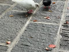 -宝通禅寺