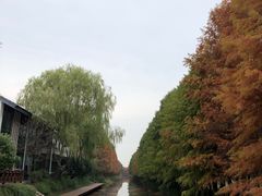 -荣阳楼(山塘街店)
