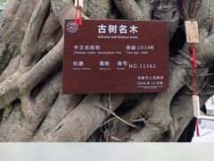 -平乐古镇