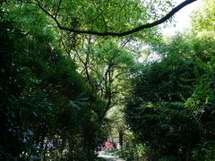 -瀛洲公园