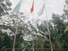 -亚龙湾热带天堂森林公园