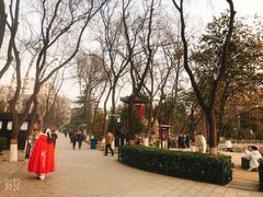 -莲湖公园