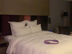 -南京禄口机场雅高铂尔曼大酒店