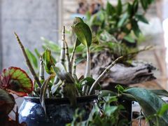 -盛邦家居建材广场